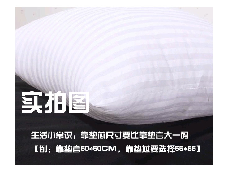 厂家批发 抱枕芯 坐垫芯 靠垫芯十字绣靠包芯 双人枕头 等身枕芯 10