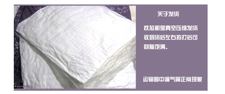 厂家批发 抱枕芯 坐垫芯 靠垫芯十字绣靠包芯 双人枕头 等身枕芯 12