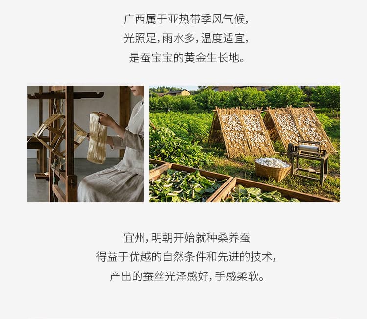 黛嘉雯夏季蚕丝羊毛短袖T恤女天丝莫代尔鹅蛋脸修身显瘦落肩上衣 9