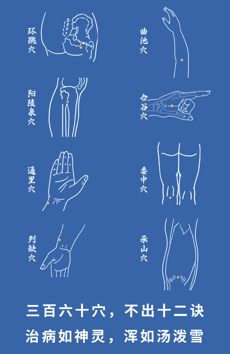 正版天星十二穴掌握人体十二经穴奥秘自我按摩成健康达人中医基础 2