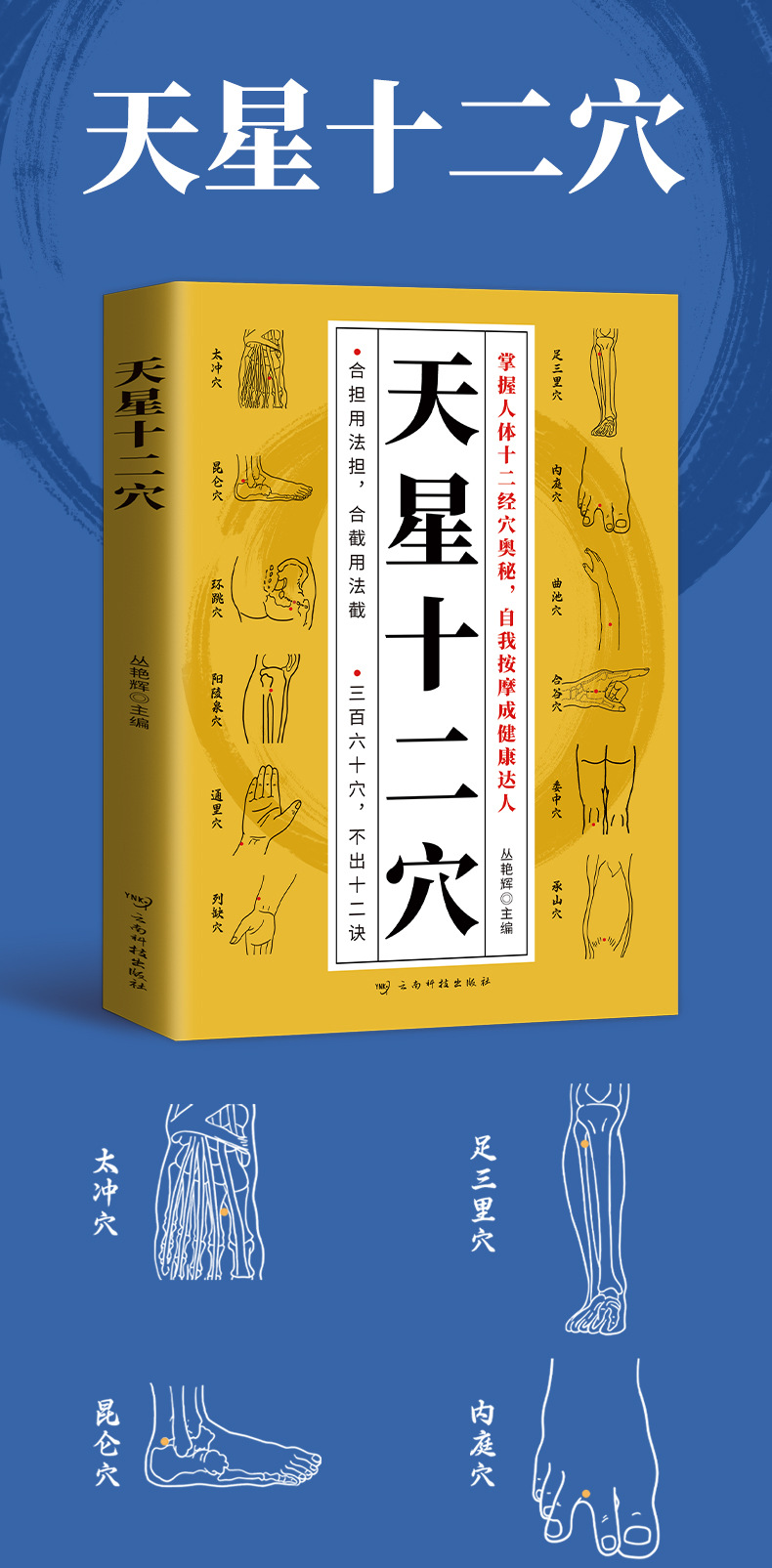 正版天星十二穴掌握人体十二经穴奥秘自我按摩成健康达人中医基础 1