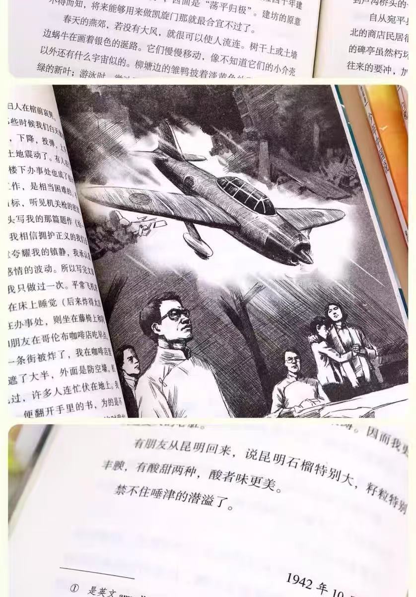 五年级课外阅读书籍推荐鸟的天堂少年中国说 桂花雨白鹭落花生 14