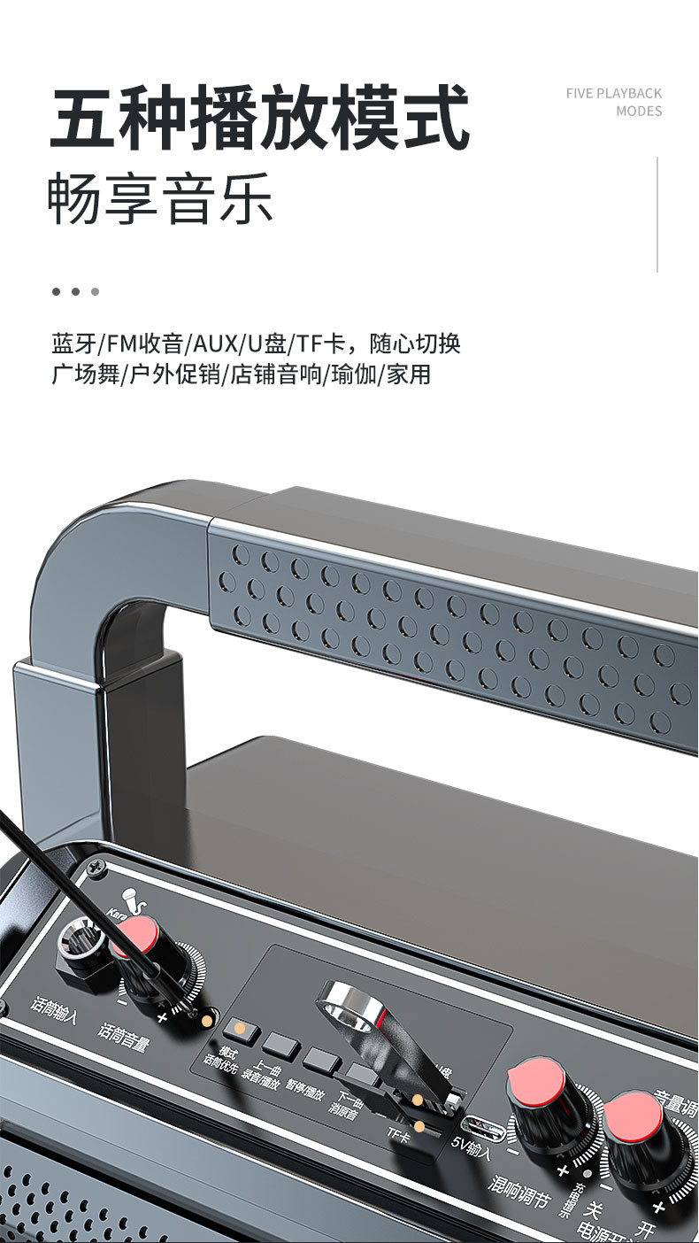 长城户外手提便携大音量广场舞蓝牙音箱家用K歌一体低音炮音响 12