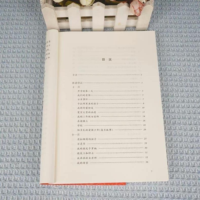 小英雄雨来人民文学出版社原著完整版无删减六年级下册必读课外书 9