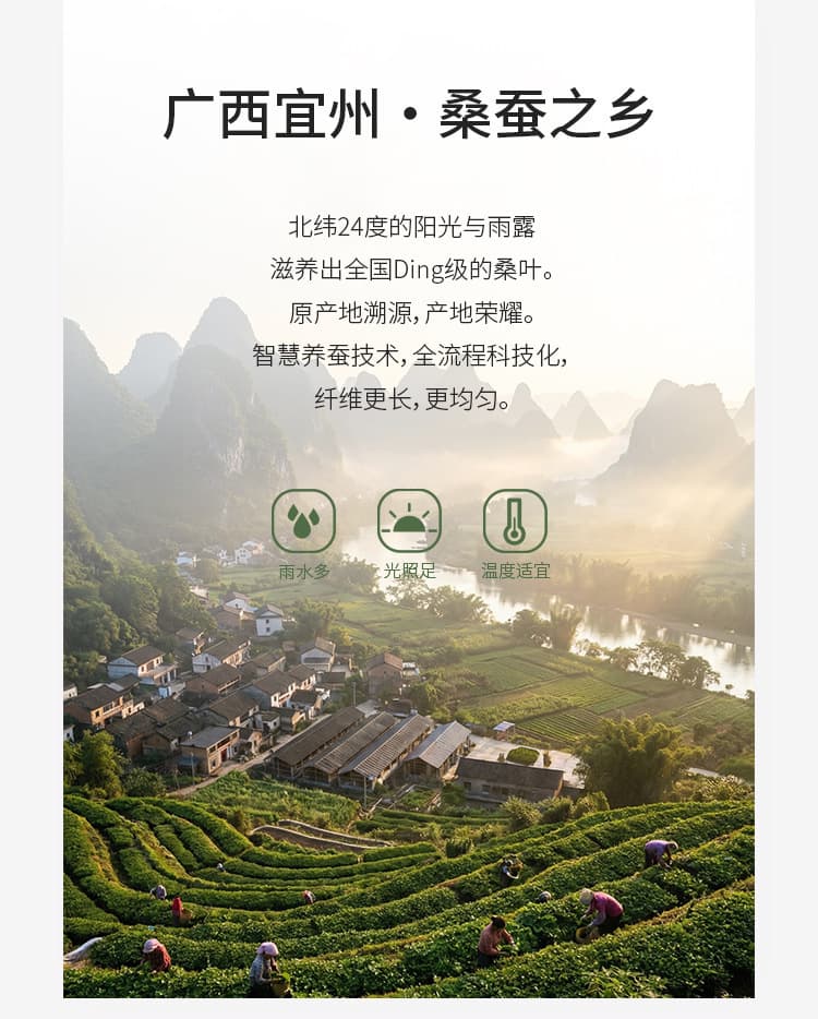 黛嘉雯夏季蚕丝羊毛短袖T恤女天丝莫代尔鹅蛋脸修身显瘦落肩上衣 10