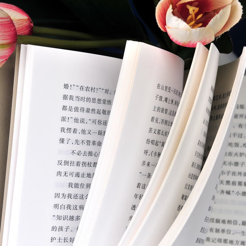 正版我与地坛纪念版余华的好友史铁生著现当代文学畅销随笔 4