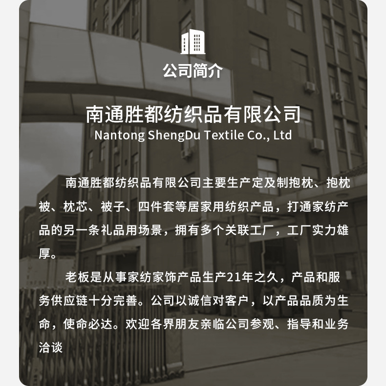 胜都抱枕芯磨毛布靠枕芯沙发套内芯白色靠垫芯腰靠内胆跨境批发 2