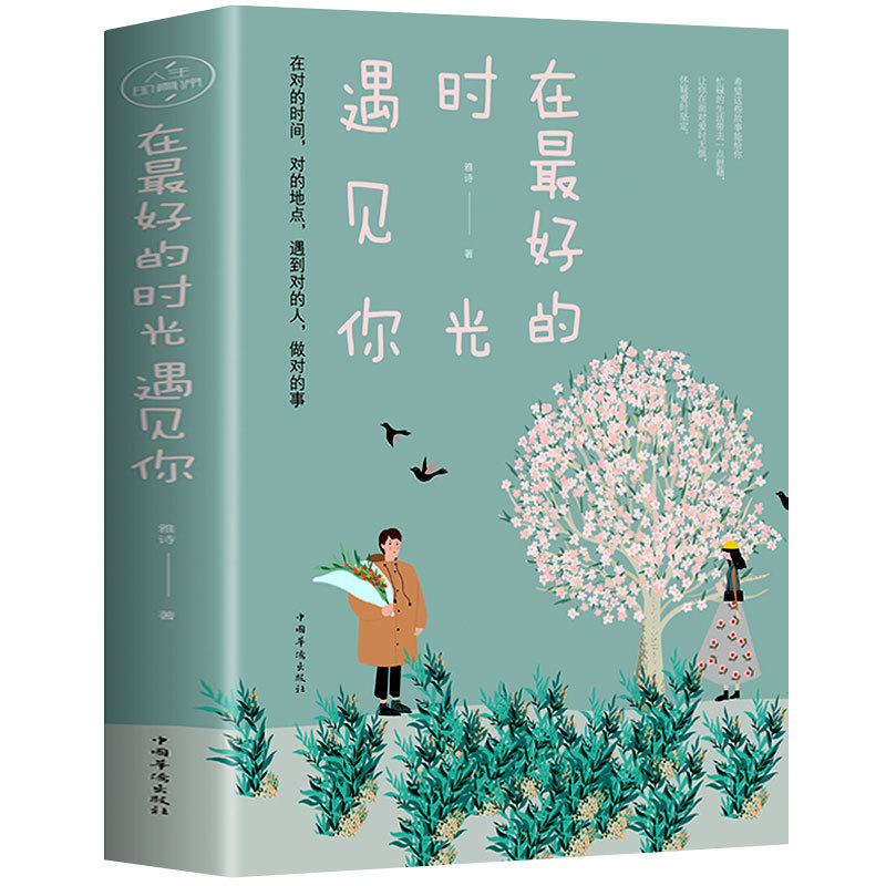 在最好的时光遇见你我在等风也在等你 一本洗涤心灵遇见爱情的书