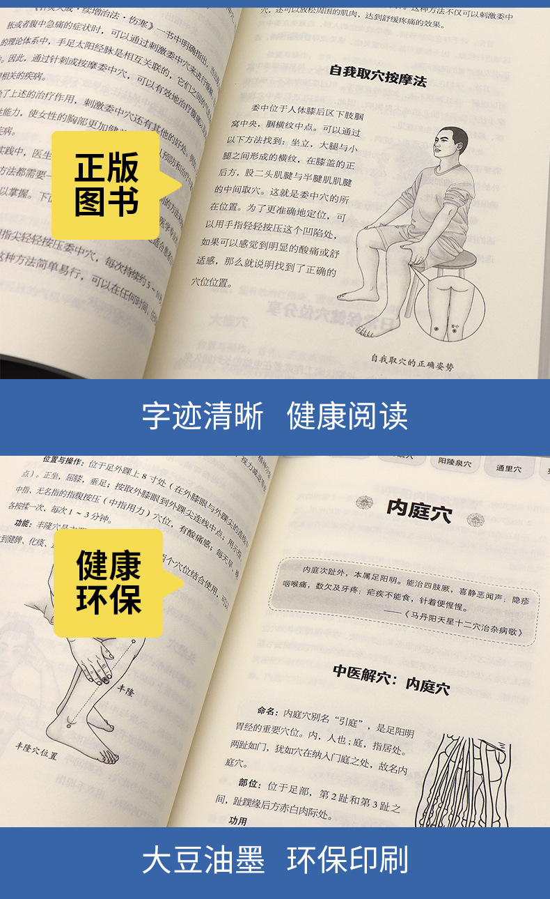 正版天星十二穴掌握人体十二经穴奥秘自我按摩成健康达人中医基础 6