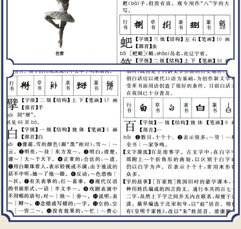 新华大字典第3版单色本新版第三版32开大开本精装版 商务印书馆 6