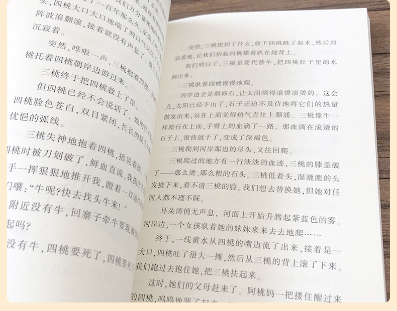 你是我的妹彭学军著五年级六年级必读课外书彩乌鸦系列图书正版 6