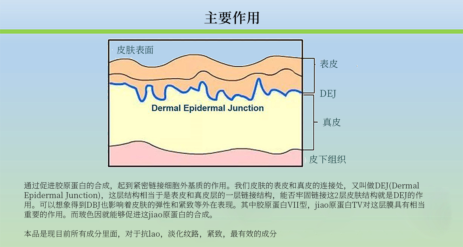 硬核亢老原料 Pro-xylane玻色因富勒烯紫米精华 赋活紧塑丰盈淡纹 5