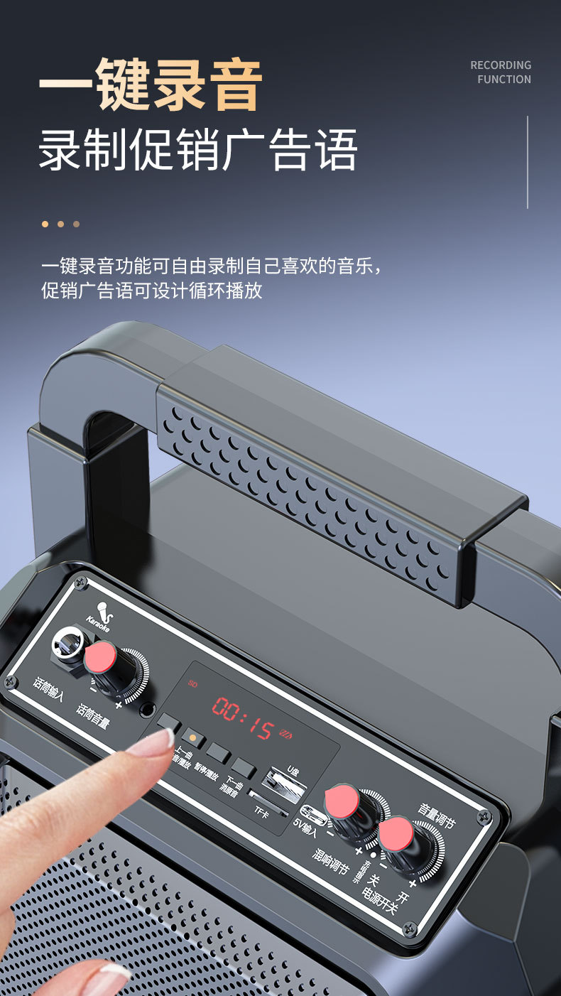 长城户外手提便携大音量广场舞蓝牙音箱家用K歌一体低音炮音响 10
