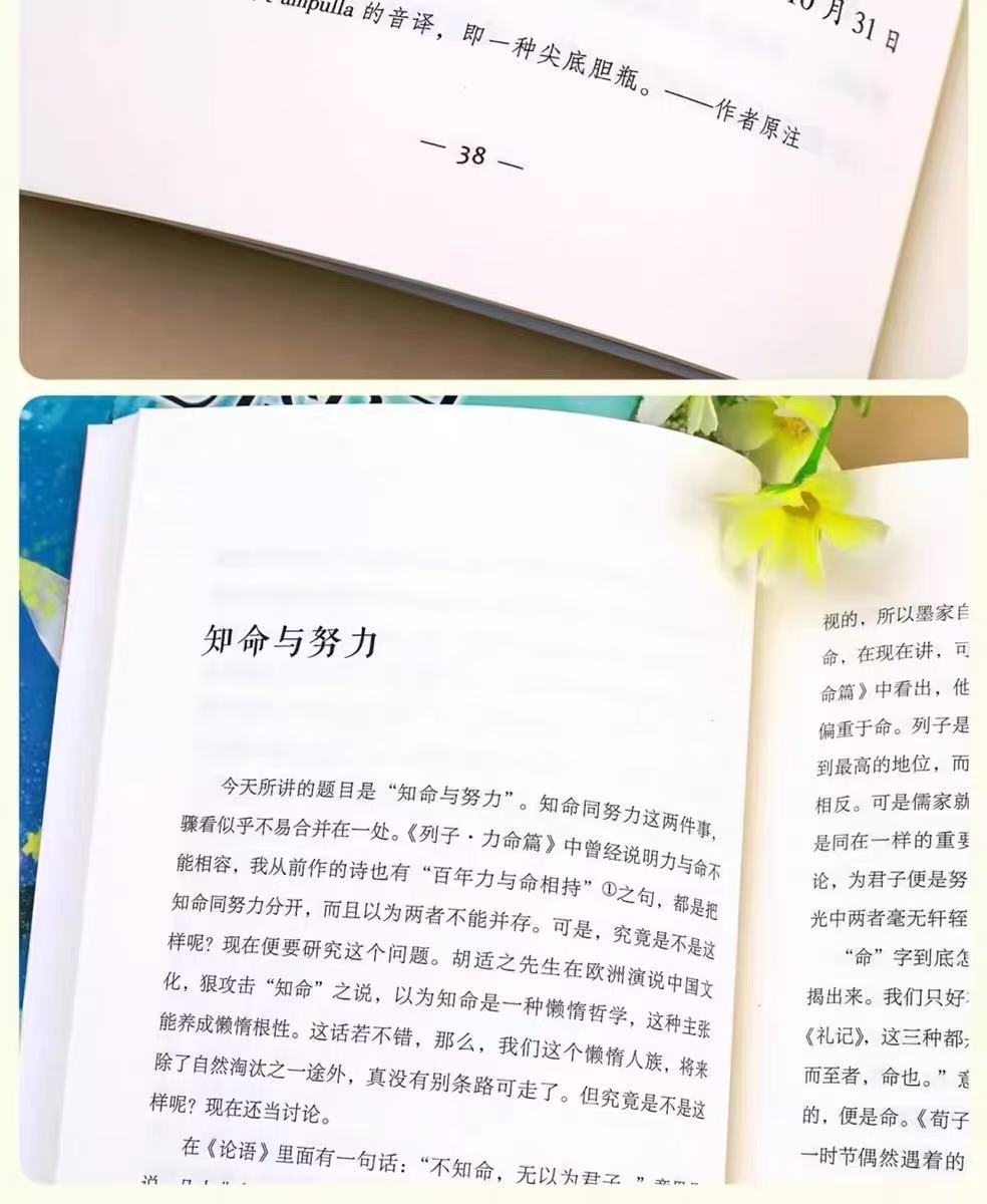 五年级课外阅读书籍推荐鸟的天堂少年中国说 桂花雨白鹭落花生 15