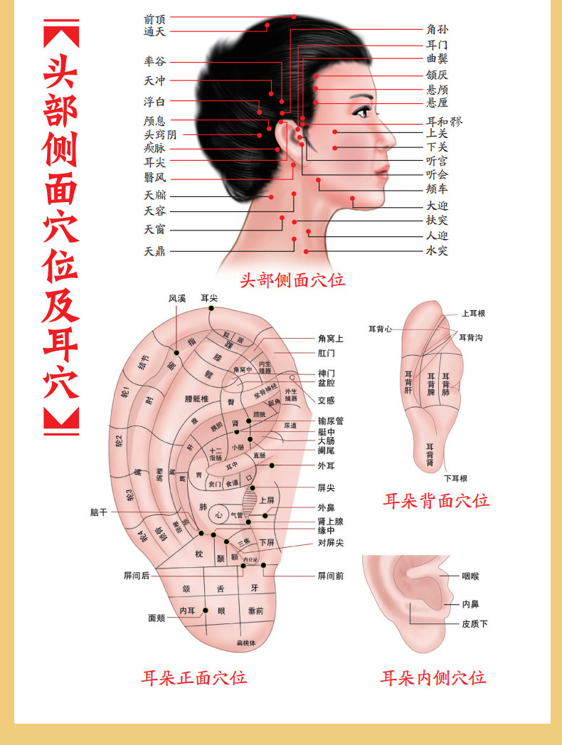 国医绝学百日通系列 家庭养生保健书籍常见病症汤饮食疗刮痧按摩 15