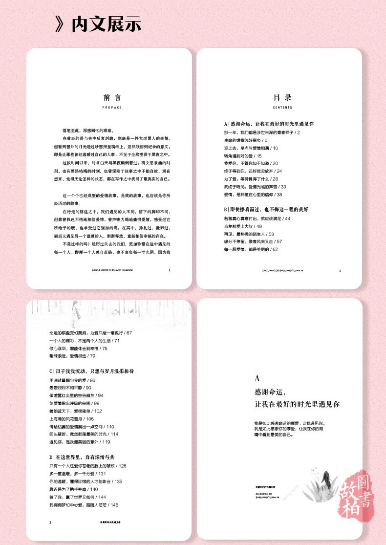 在最好的时光遇见你我在等风也在等你 一本洗涤心灵遇见爱情的书 6