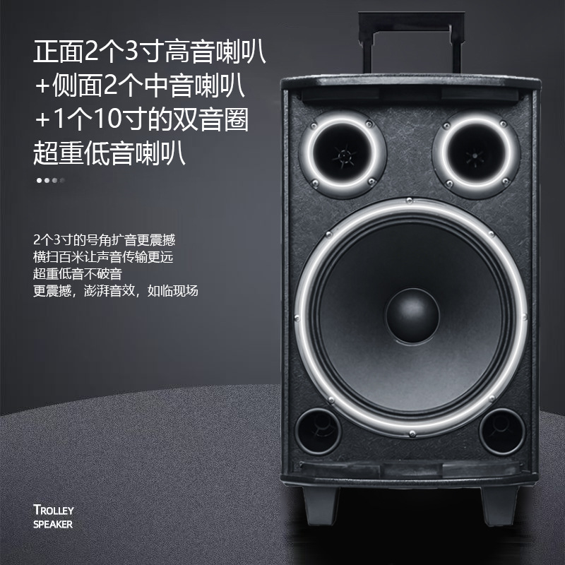 德影广场舞音响无线蓝牙户外大功率拉杆音箱k歌大音量低音炮家用 5
