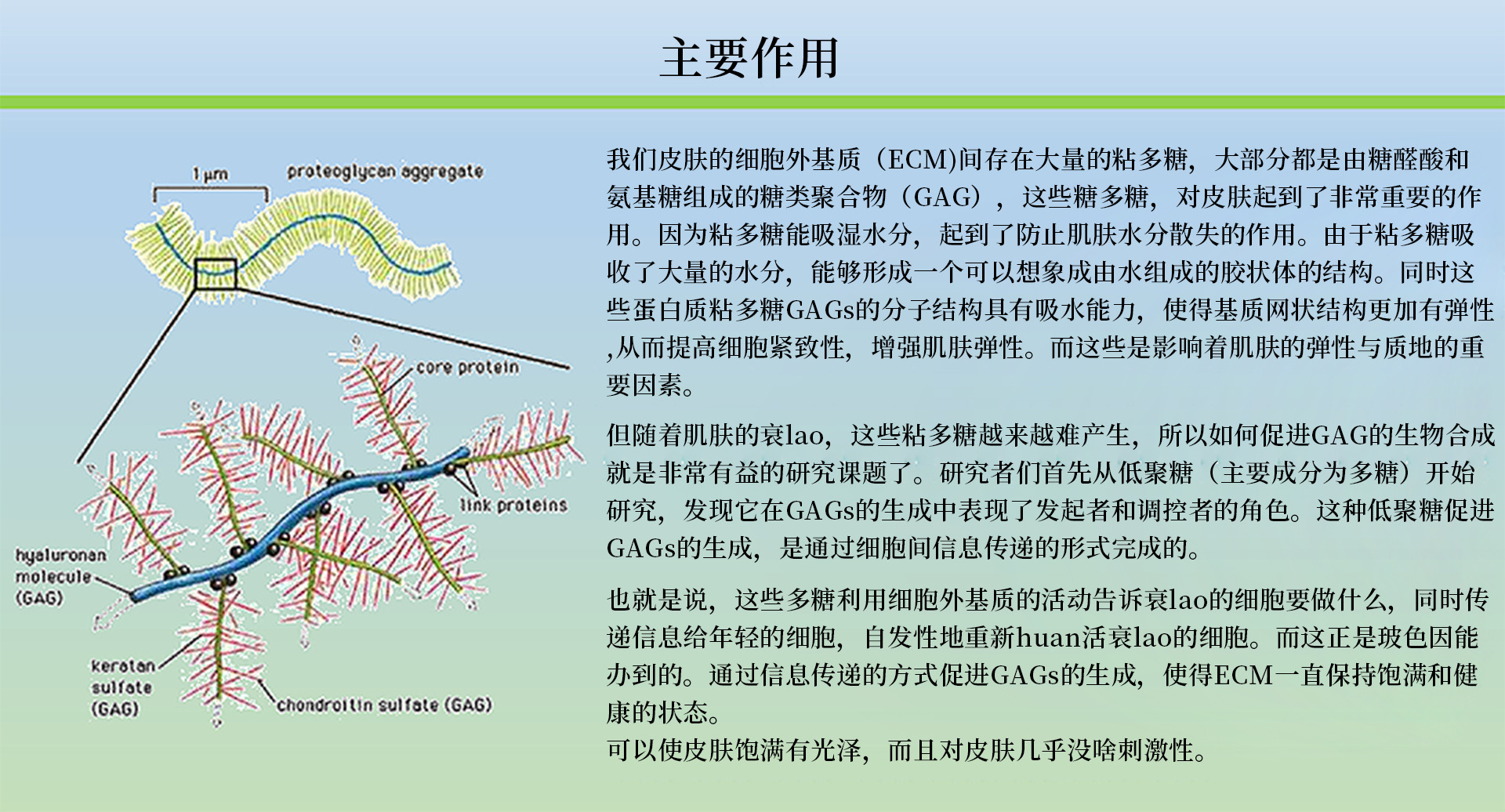 硬核亢老原料 Pro-xylane玻色因富勒烯紫米精华 赋活紧塑丰盈淡纹 6