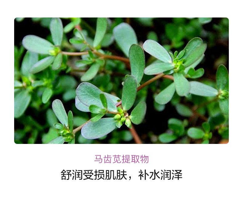 院线导入精华面部舒润玻尿酸原液补水保湿护肤品男女通用提亮肤色 6
