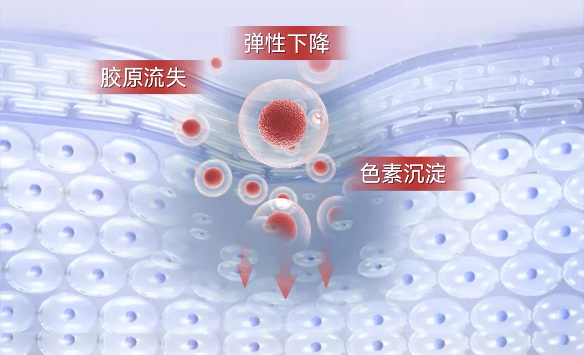 【高含量虾青素】 五个女博士12mg专利虾青素 1粒顶3粒高能感觉 8
