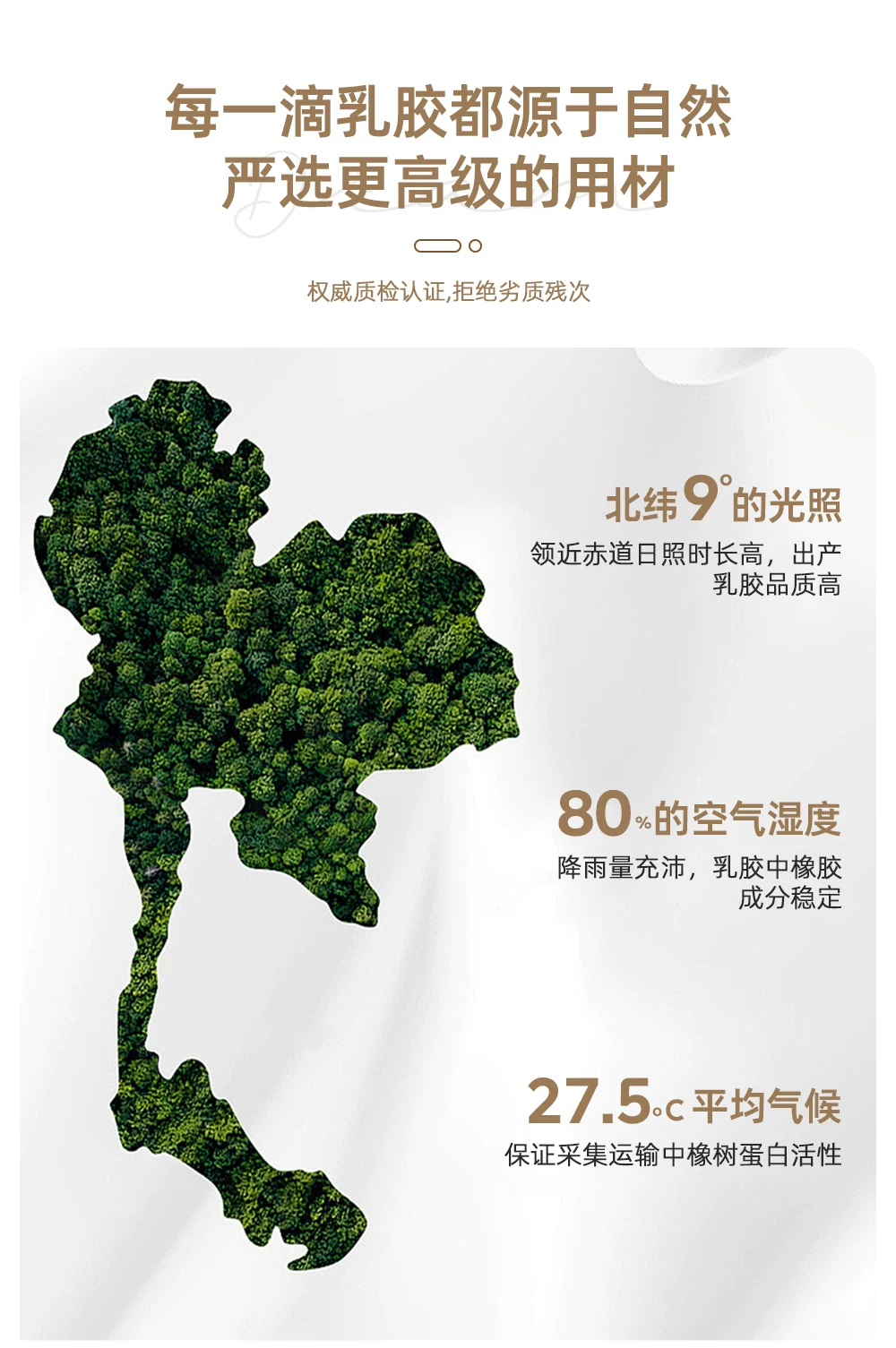 云清素履北欧可折叠沙发床两用科技布小户型客厅2026年折叠沙发床 56