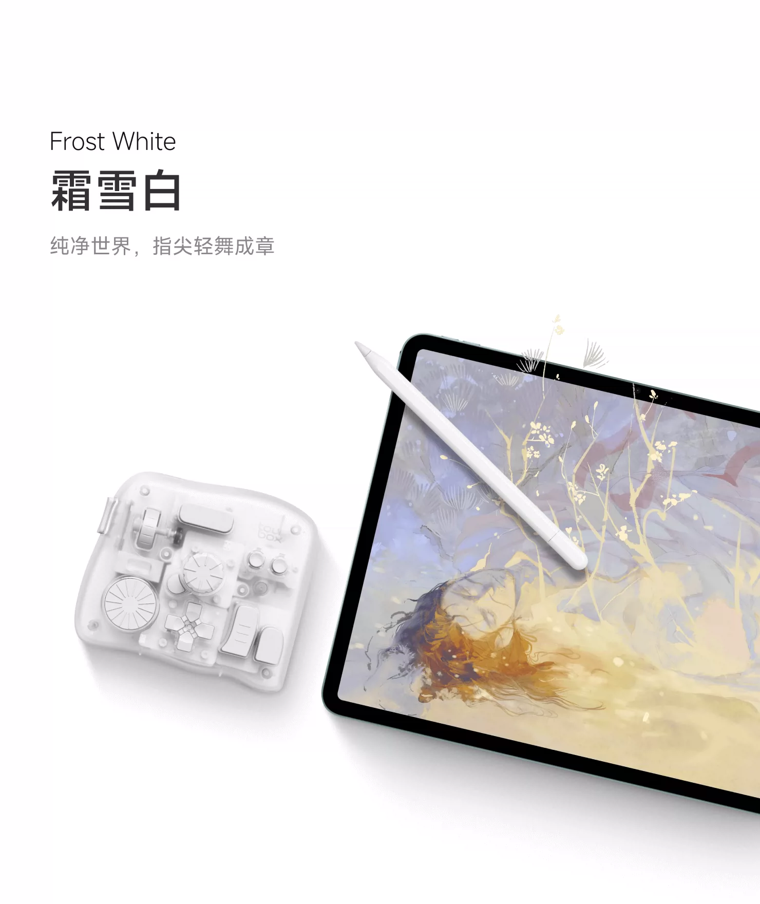 TourBox Elite Plus极境自定义无线iPad绘图剪辑小键盘Procreate 2