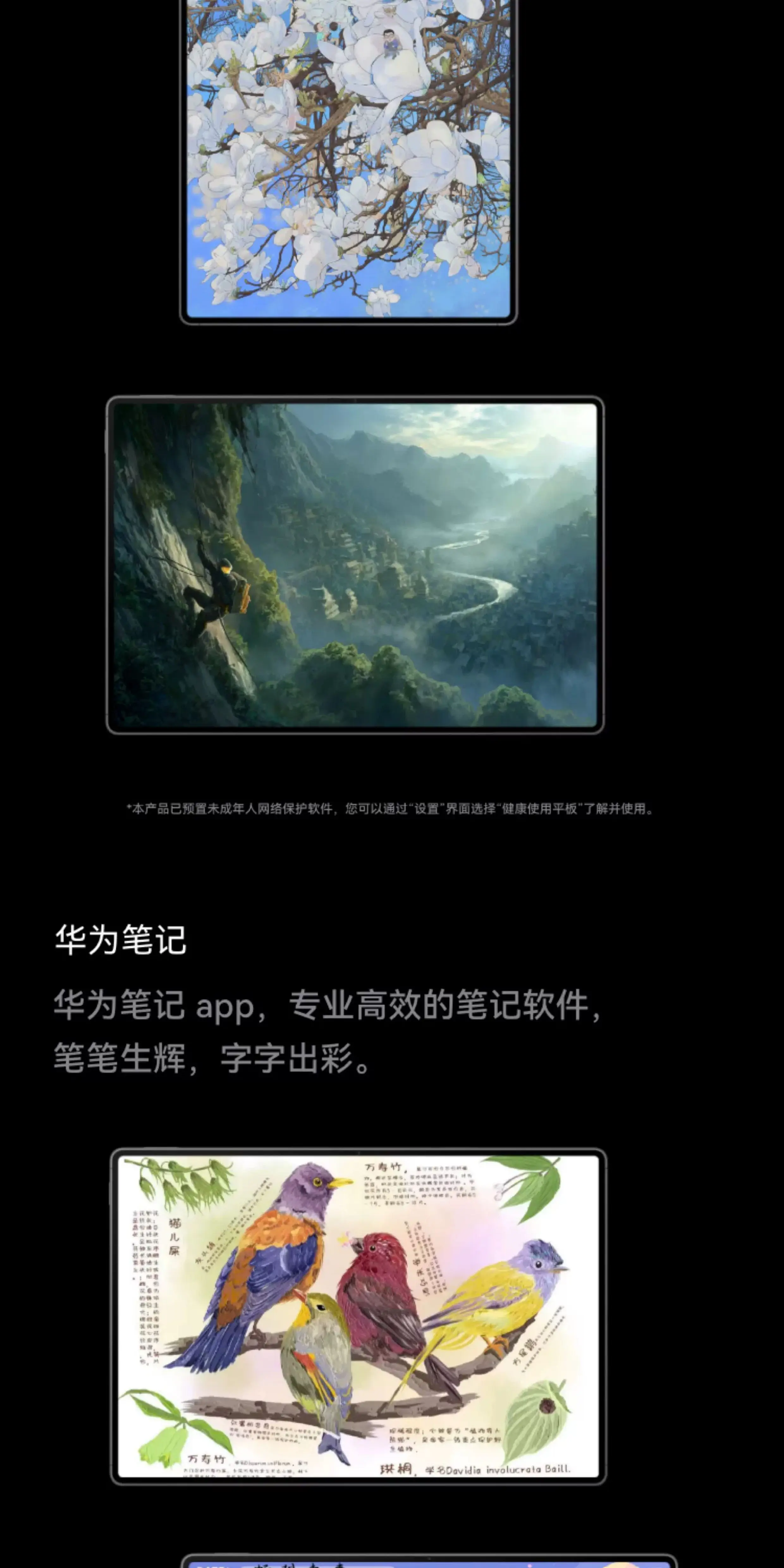 【12期免息】Huawei/华为 HUAWEI MatePad Pro Max /悦享款13.2英寸2026新款OLED屏办公创作平板电脑1694 20
