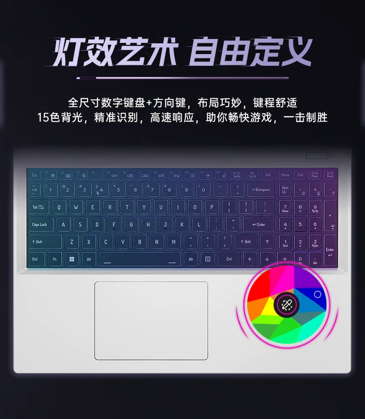 【国补直降15%】七彩虹隐星P16Pro 13代酷睿i7-13650HX RTX5060独显16英寸游戏笔记本电脑电竞本 18