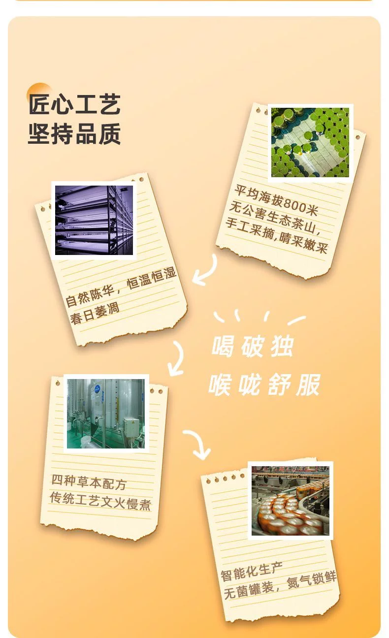 破独无蔗糖白茶植物饮料450ml*15瓶0蔗糖0脂0卡饮品夏季饮品 7