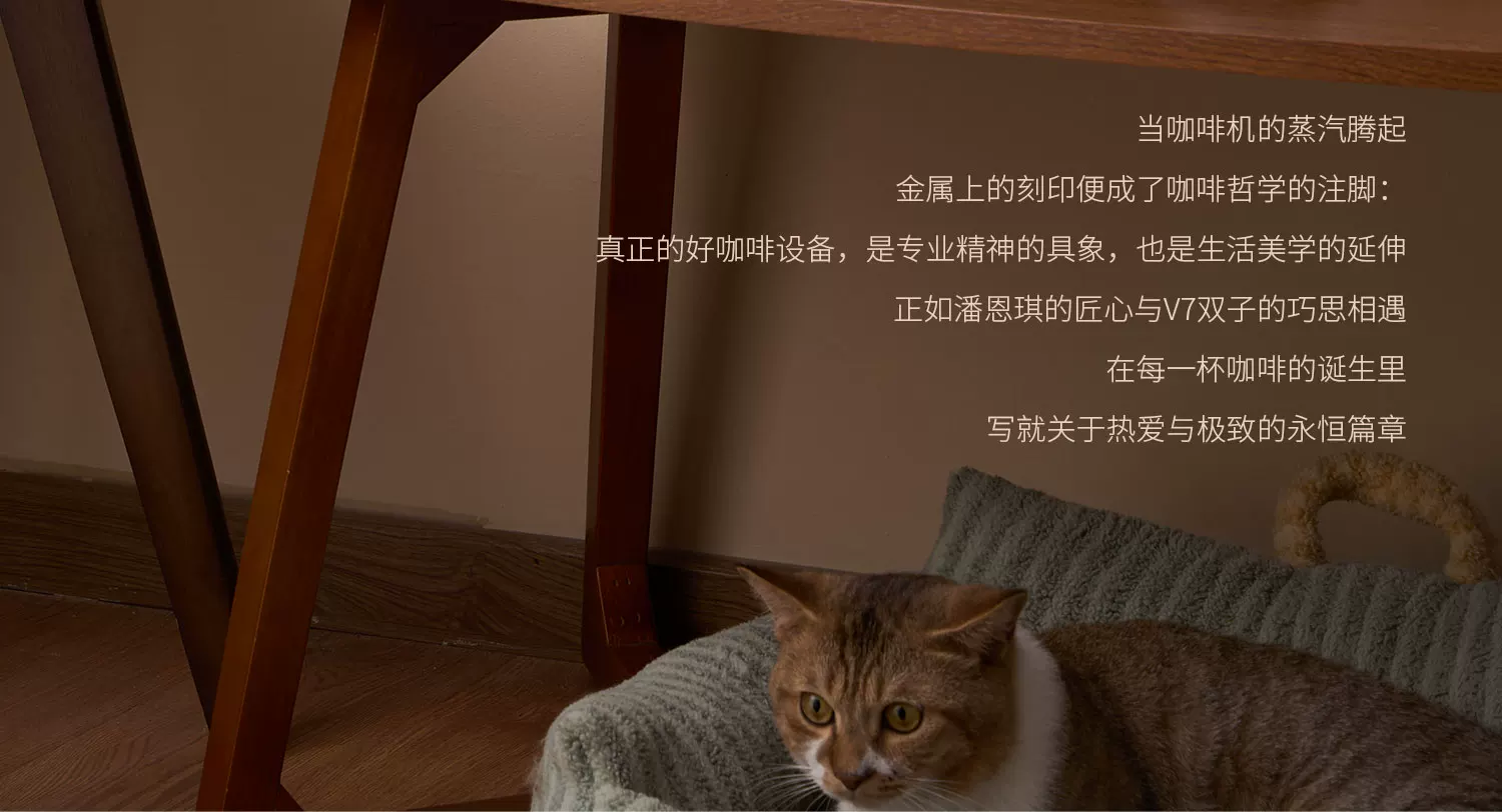 咖际V7半自动专业家商两用咖啡机意式浓缩美式变压打奶泡萃取一体 15