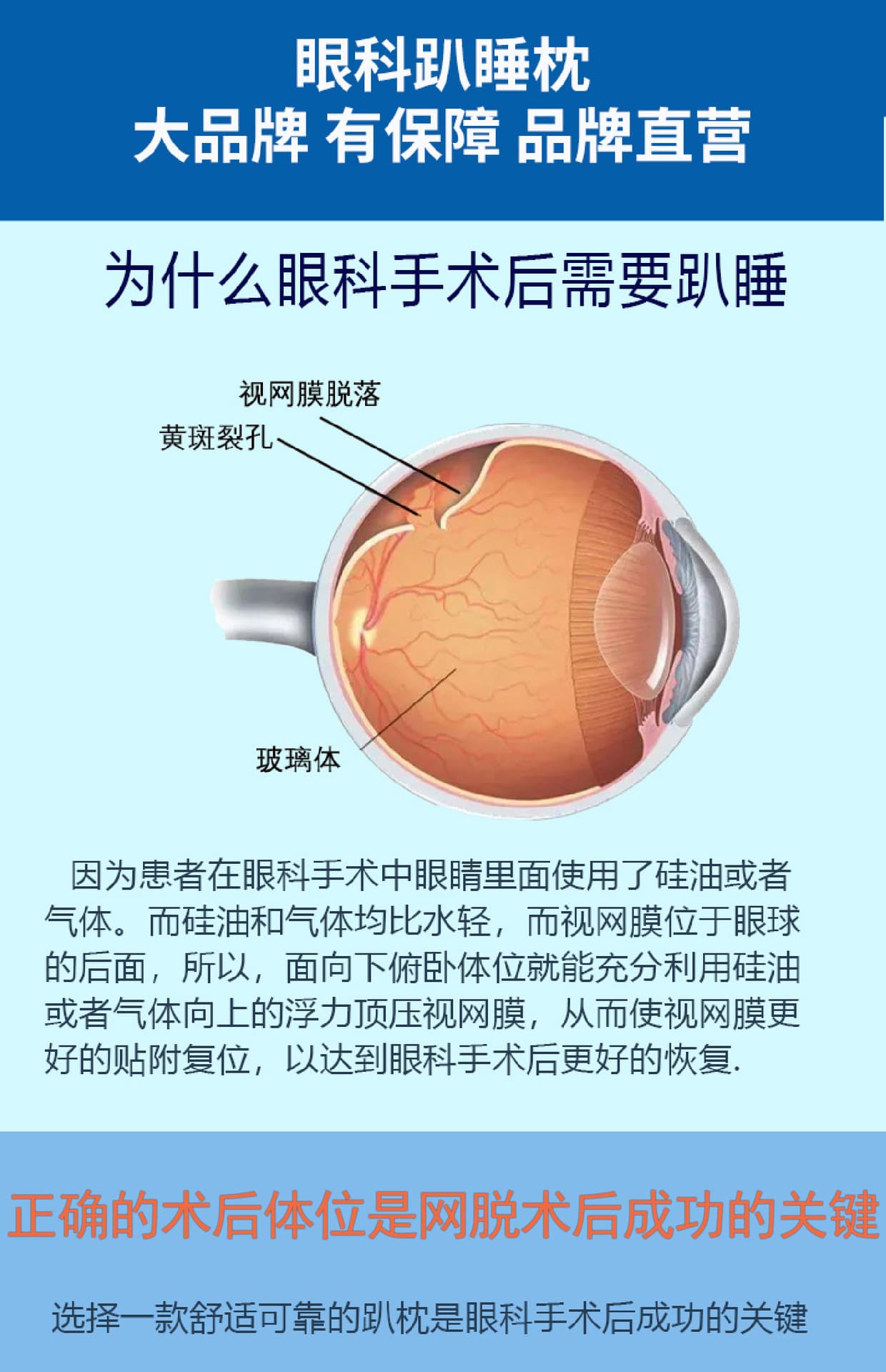 眼科使用趴睡枕视网膜术后趴枕颈肩脱落网脱床上神器玻切俯卧位 2