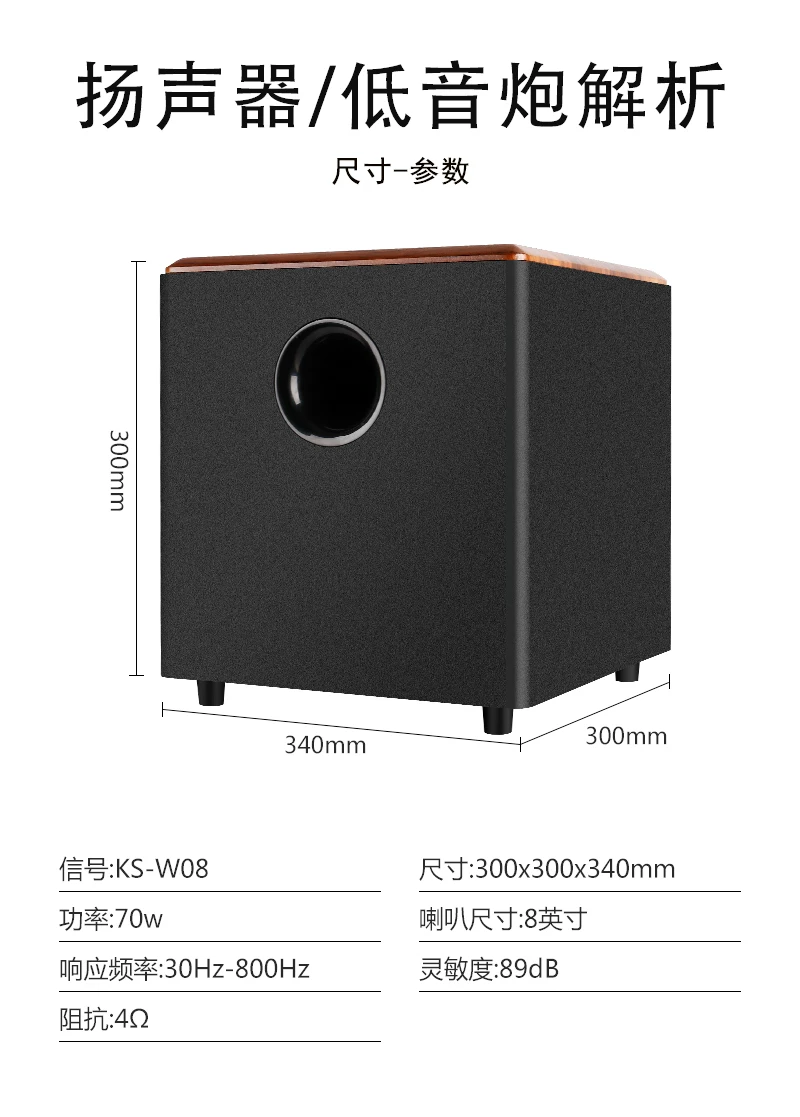 先科吸顶式5.1家庭影院音响套装电视蓝牙家用客厅吊顶嵌入音箱 30